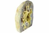 Polished, Crystal Filled Septarian Nodule - Utah #184581-2